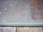 DSC00450.jpg