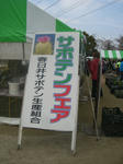 24e833e7.JPG