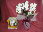DSCF0415.JPG