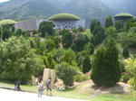 f0a539e2.JPG