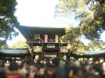 P1010146.jpg