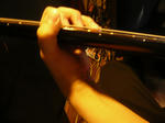 pic10.jpg