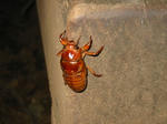 100-0005_IMG.JPG