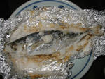 100-0028_IMG.JPG