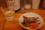 IMGP0002.JPG