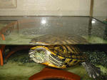 100-0029_IMG.JPG