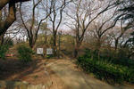 IMGP0397.JPG