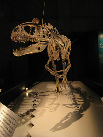 f06863cd.jpg