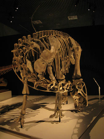 d7037924.jpg