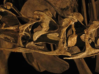 51fd7d86.jpg