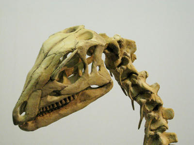 042d6091.jpg