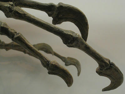 626532e0.jpg