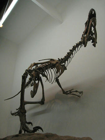 9e488f60.jpg
