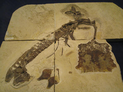 762b11a4.jpg