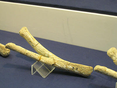 03f341f8.jpg