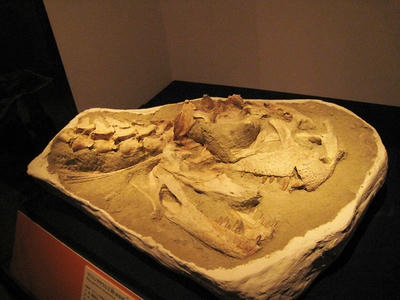 d63dca55.jpg
