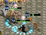 2009120702.gif