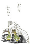 ko20091209.JPG
