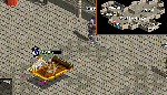 2009121602.gif