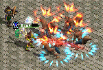 2009122205.gif