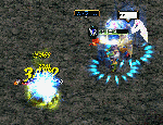 2010011602.gif