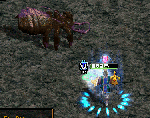 2010013107.gif