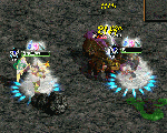 2010013110.gif