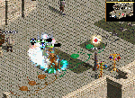 2010013100.gif