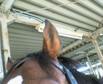 トゥーザワールド