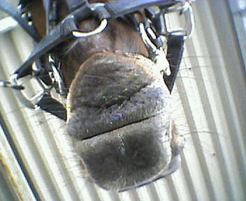 ブライトシティ