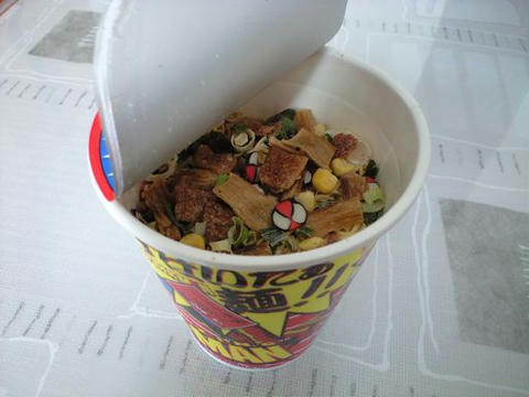 20090202-02.jpg