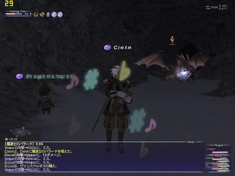FF11-20090303-001.jpg