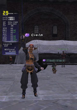 FF11-20090414-04.jpg