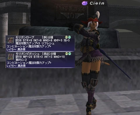 FF11-20090930-1.jpg