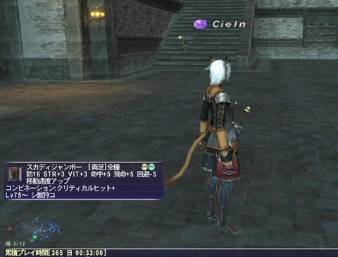 FF11-20090930-2.jpg