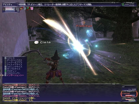 FF11-20100125-1.jpg