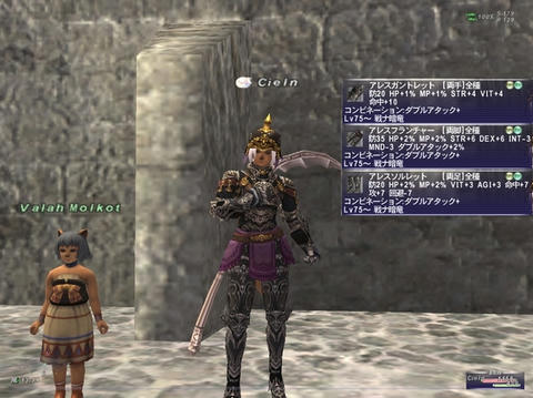 FF11-20100205-2.jpg