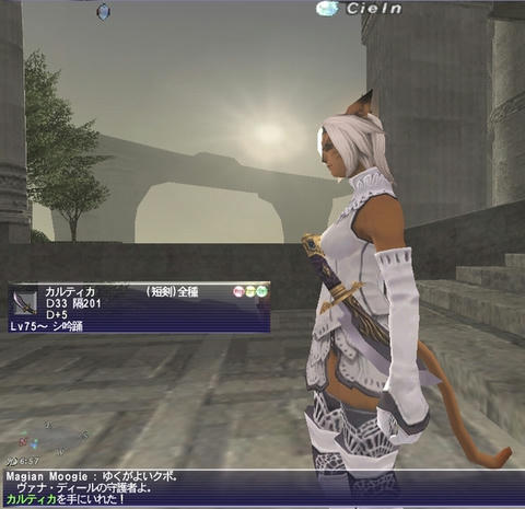 FF11-20100502-1.jpg