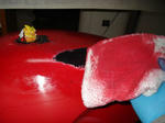DSC00977.JPG