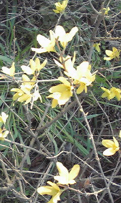 080323_0630~01.jpg