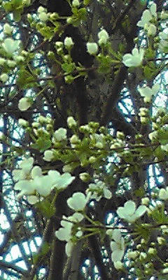 080323_0631~01.jpg
