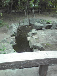 090516_1230~01.jpg