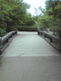 090516_1230~02.jpg