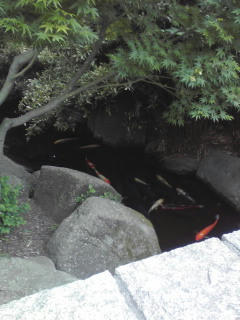 090516_1231~01.jpg
