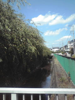 090916_1301~01.jpg