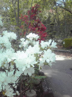 100502_1059~01.jpg