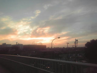 100807_1836~01.jpg