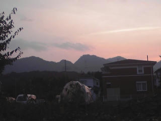 100816_1816~01.jpg