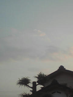 100816_1819~01.jpg