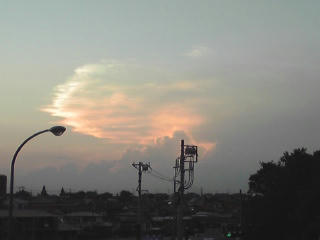 100826_1816~01.jpg